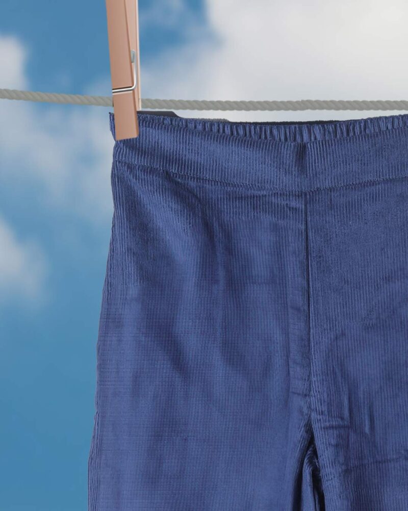 Sage Flare – Corduroy Blue Pants for Women - Image 2