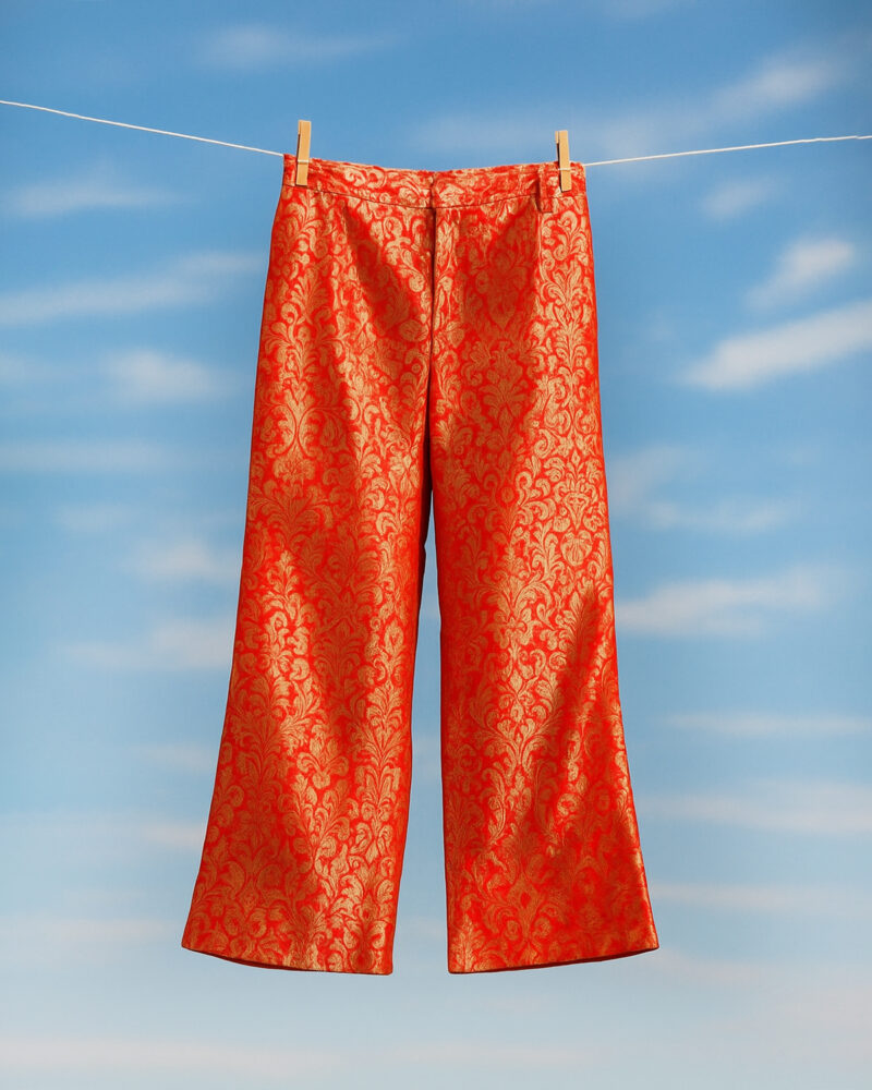 ZariRise Banarasi Red for Women